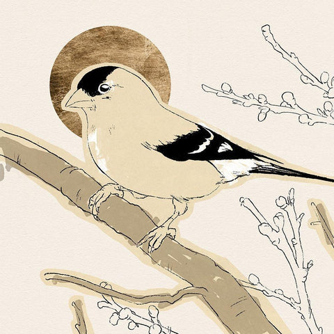 Spring Passerine IV Black Modern Wood Framed Art Print by Green, Jacob