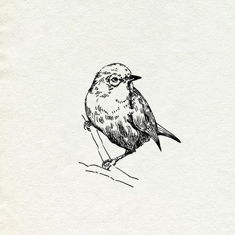 Bird Feeder Friends III Black Modern Wood Framed Art Print with Double Matting by Caroline, Emma