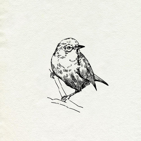 Bird Feeder Friends III White Modern Wood Framed Art Print with Double Matting by Caroline, Emma