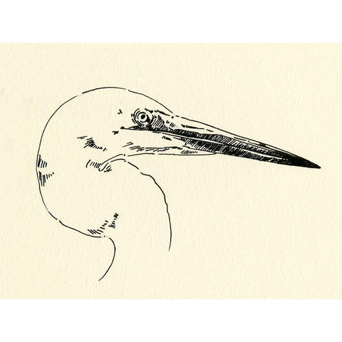 Heron Head I Black Modern Wood Framed Art Print with Double Matting by Caroline, Emma