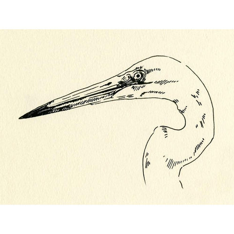 Heron Head II Gold Ornate Wood Framed Art Print with Double Matting by Caroline, Emma