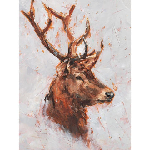 Stag Study II White Modern Wood Framed Art Print by Harper, Ethan