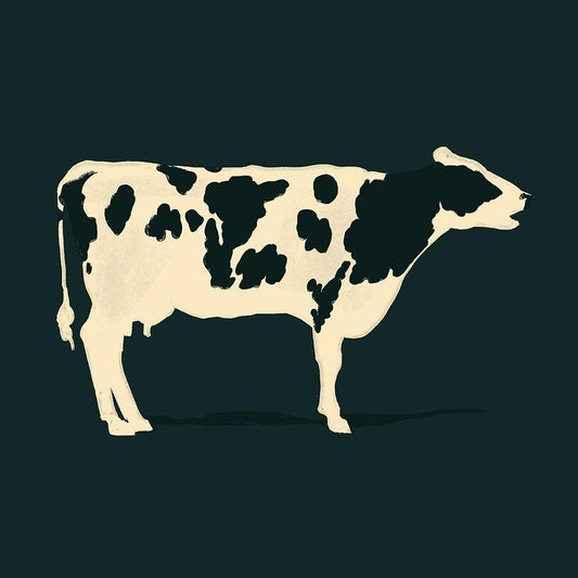 Image Only