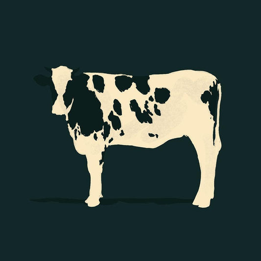Image Only