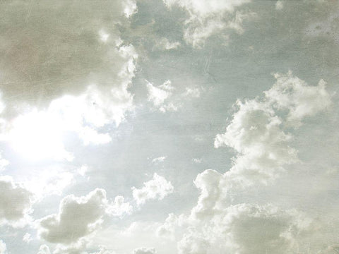 Sky Scrapers I White Modern Wood Framed Art Print with Double Matting by Chandler, Sharon