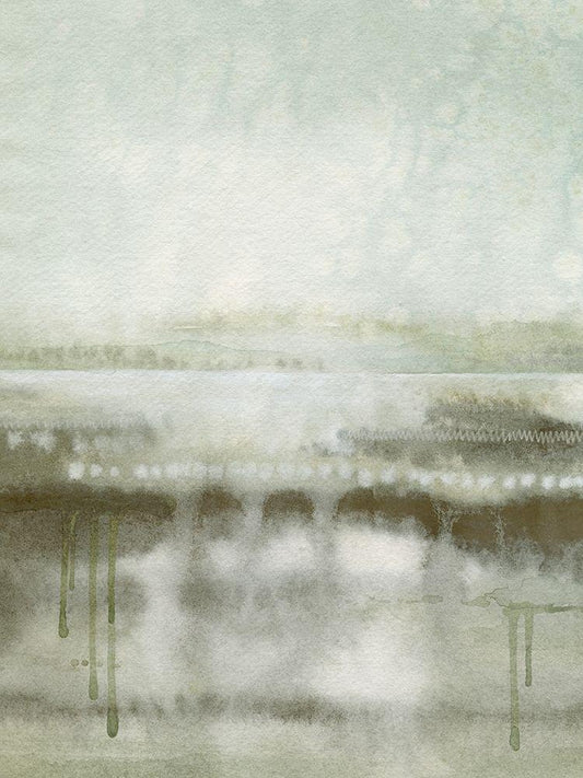 Image Only
