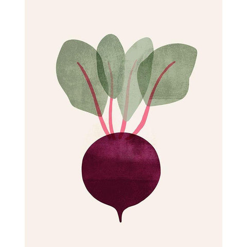 Organic Veg IX Black Modern Wood Framed Art Print by Barnes, Victoria