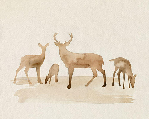 Whitetail Herd I White Modern Wood Framed Art Print with Double Matting by Popp, Grace