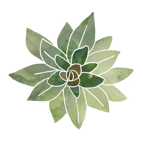 Succulent Cameo I White Modern Wood Framed Art Print with Double Matting by Vess, June Erica