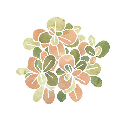 Succulent Cameo II White Modern Wood Framed Art Print with Double Matting by Vess, June Erica