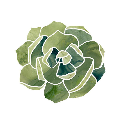 Succulent Cameo III White Modern Wood Framed Art Print with Double Matting by Vess, June Erica