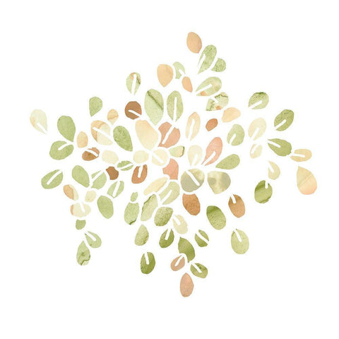 Succulent Cameo IV Black Ornate Wood Framed Art Print with Double Matting by Vess, June Erica