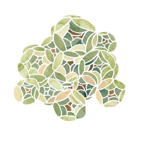 Succulent Cameo V Gold Ornate Wood Framed Art Print with Double Matting by Vess, June Erica