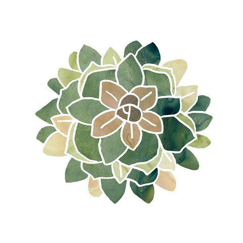 Succulent Cameo VI White Modern Wood Framed Art Print with Double Matting by Vess, June Erica