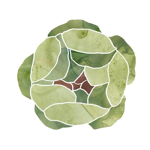 Succulent Cameo VIII Black Ornate Wood Framed Art Print with Double Matting by Vess, June Erica