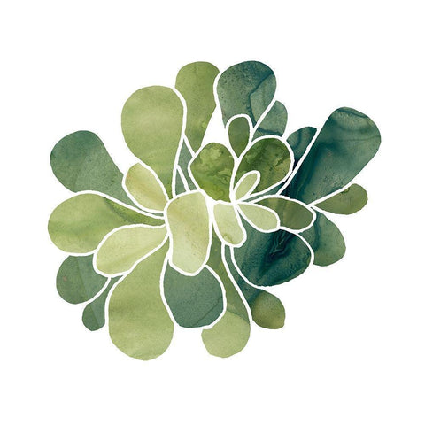 Succulent Cameo IX Black Modern Wood Framed Art Print with Double Matting by Vess, June Erica