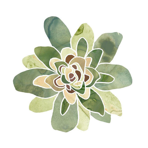 Succulent Cameo XI White Modern Wood Framed Art Print with Double Matting by Vess, June Erica