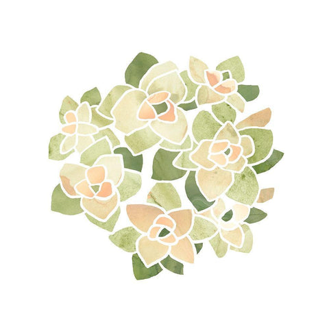 Succulent Cameo XII Black Ornate Wood Framed Art Print with Double Matting by Vess, June Erica