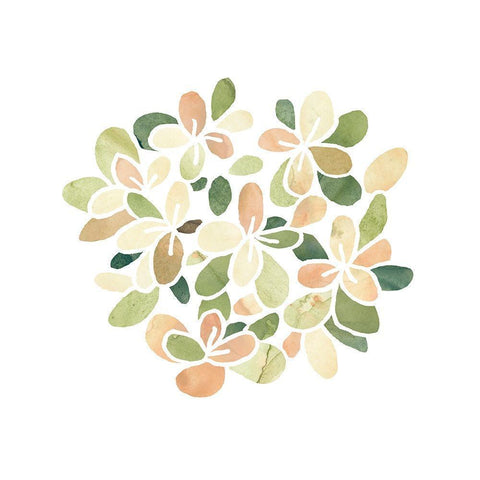 Succulent Cameo XIII White Modern Wood Framed Art Print by Vess, June Erica