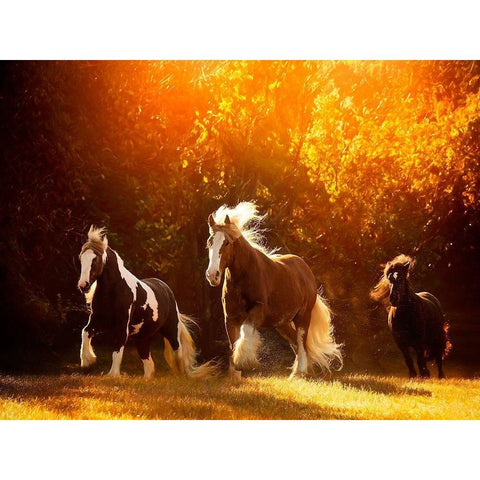 Horse Motion V Gold Ornate Wood Framed Art Print with Double Matting by PHBurchett