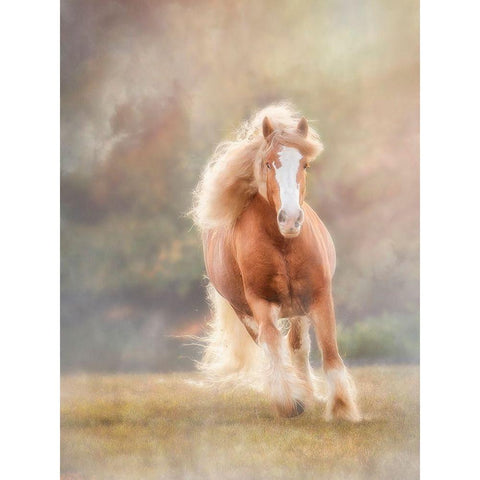 Horse Motion VII White Modern Wood Framed Art Print by PHBurchett