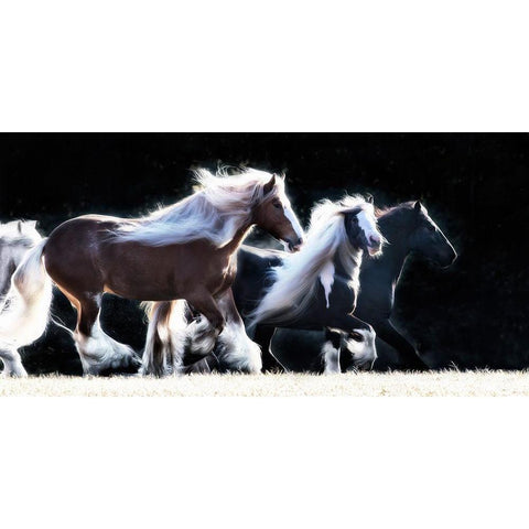 Horse Motion X White Modern Wood Framed Art Print by PHBurchett