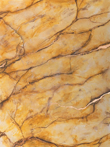 Yellow Marble II Black Ornate Wood Framed Art Print with Double Matting by Willett, Michael