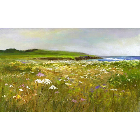 Montara Bluffs Black Modern Wood Framed Art Print by Finch, Sheila