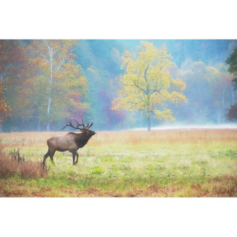 View At Rest IV Gold Ornate Wood Framed Art Print with Double Matting by PHBurchett