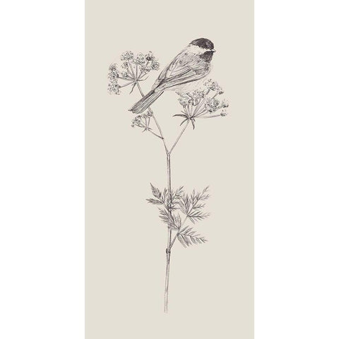 Nature with Bird III White Modern Wood Framed Art Print by Wang, Melissa