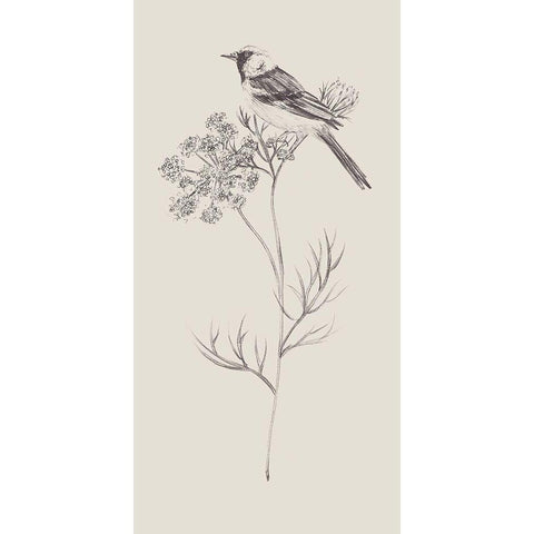 Nature with Bird IV Black Modern Wood Framed Art Print with Double Matting by Wang, Melissa