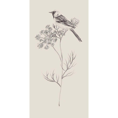 Nature with Bird IV White Modern Wood Framed Art Print by Wang, Melissa