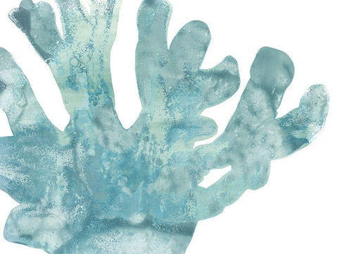 Blue Macro Coral I Black Ornate Wood Framed Art Print with Double Matting by Vess, June Erica