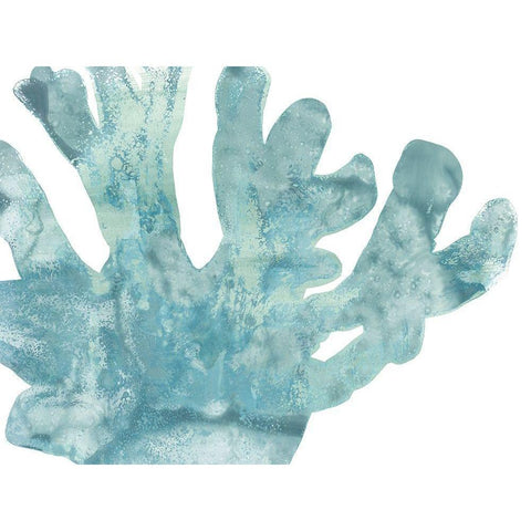 Blue Macro Coral I Black Modern Wood Framed Art Print with Double Matting by Vess, June Erica