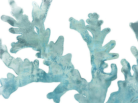 Blue Macro Coral II White Modern Wood Framed Art Print with Double Matting by Vess, June Erica