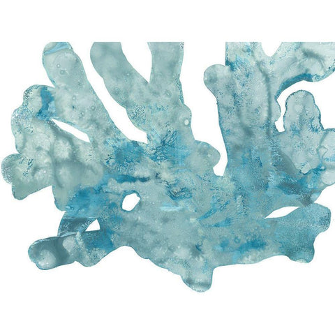 Blue Macro Coral IV Black Modern Wood Framed Art Print with Double Matting by Vess, June Erica