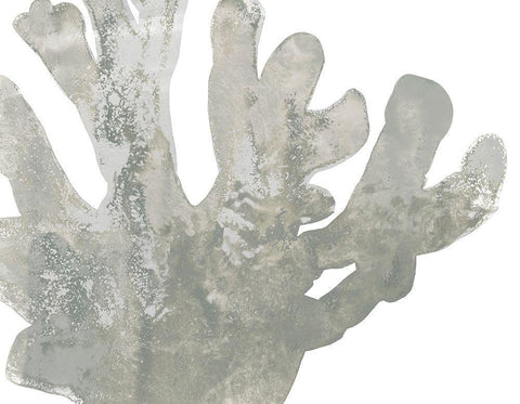 Stone Macro Coral I White Modern Wood Framed Art Print with Double Matting by Vess, June Erica