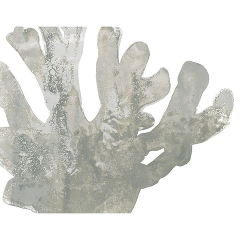 Stone Macro Coral I Black Modern Wood Framed Art Print with Double Matting by Vess, June Erica