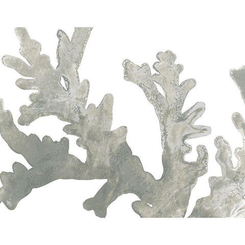 Stone Macro Coral II Gold Ornate Wood Framed Art Print with Double Matting by Vess, June Erica