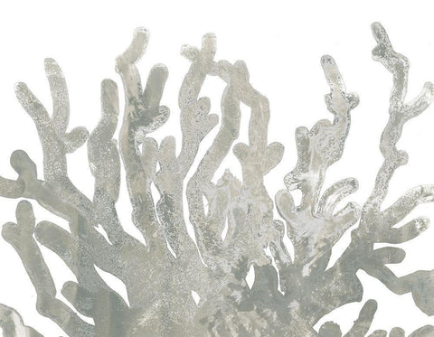 Stone Macro Coral III White Modern Wood Framed Art Print with Double Matting by Vess, June Erica