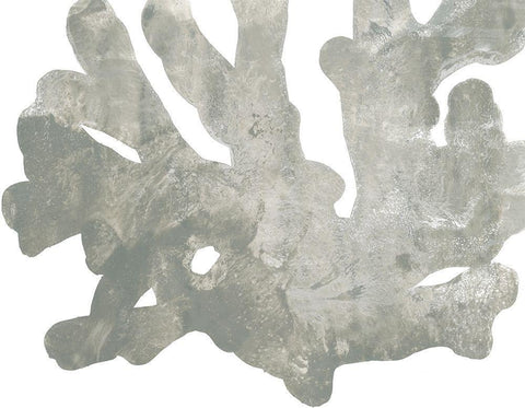 Stone Macro Coral IV White Modern Wood Framed Art Print with Double Matting by Vess, June Erica