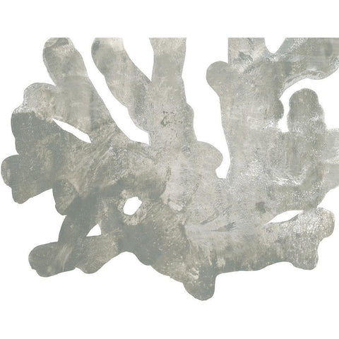 Stone Macro Coral IV Black Modern Wood Framed Art Print by Vess, June Erica