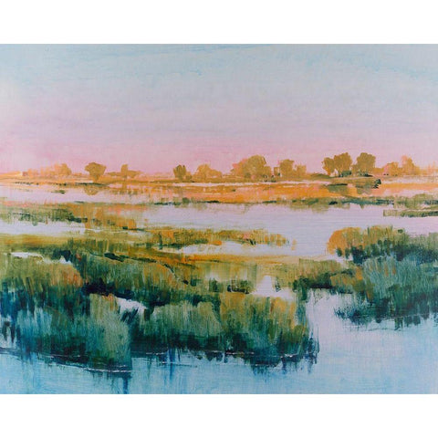 Marshland View I Gold Ornate Wood Framed Art Print with Double Matting by OToole, Tim