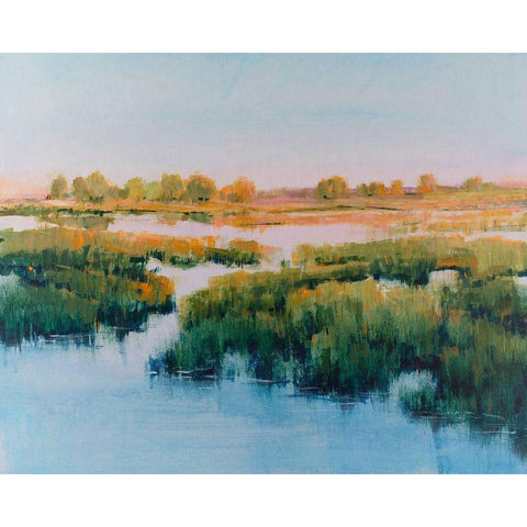 Marshland View II Gold Ornate Wood Framed Art Print with Double Matting by OToole, Tim