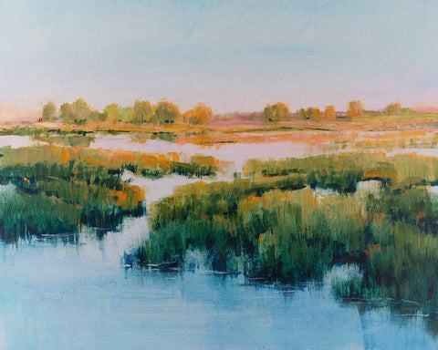 Marshland View II White Modern Wood Framed Art Print with Double Matting by OToole, Tim