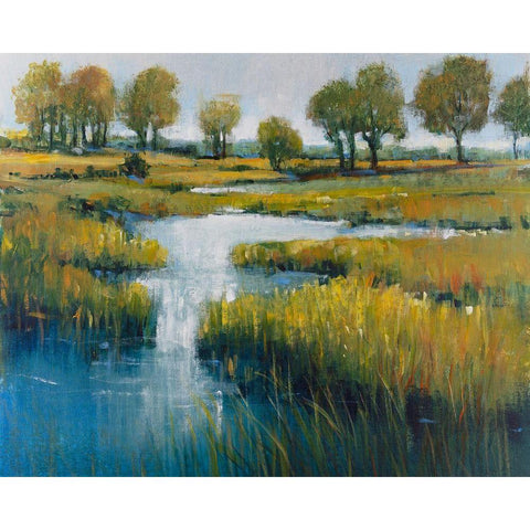 Marshland View III Gold Ornate Wood Framed Art Print with Double Matting by OToole, Tim