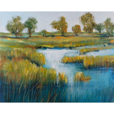 Marshland View IV Gold Ornate Wood Framed Art Print with Double Matting by OToole, Tim