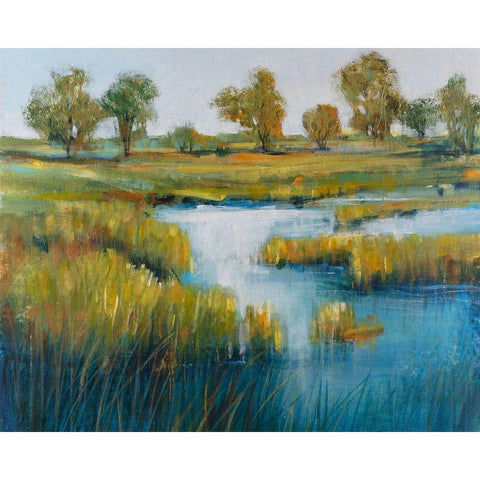 Marshland View IV Black Modern Wood Framed Art Print with Double Matting by OToole, Tim