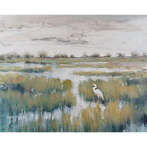 Marshland View VI Black Modern Wood Framed Art Print with Double Matting by OToole, Tim