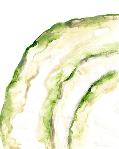 Lichen Halo I White Modern Wood Framed Art Print with Double Matting by Vess, June Erica